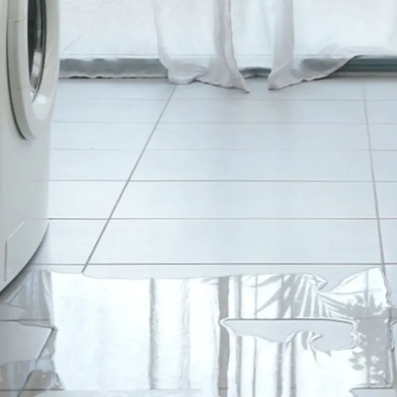 Appliance Leak Cleanup in Point Clear, AL