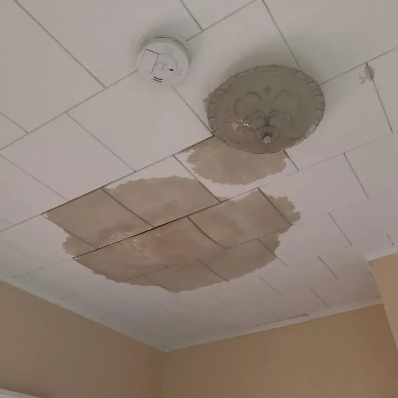 Ceiling Water Damage Repair in Point Clear, AL