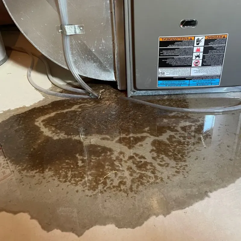 Pipe Burst and Leak Restoration in Point Clear, AL